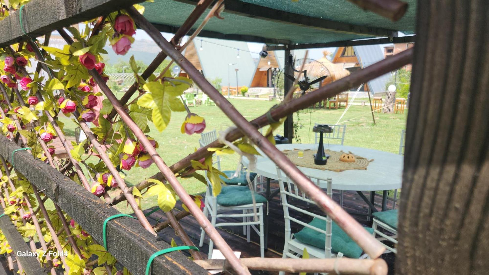 Olive Garden 2 Farm Daire Ülgün Dış mekan fotoğraf